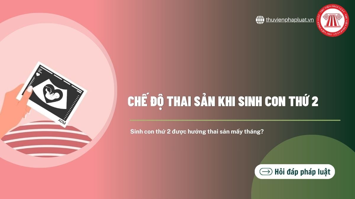 Hỏi đáp Pháp luật