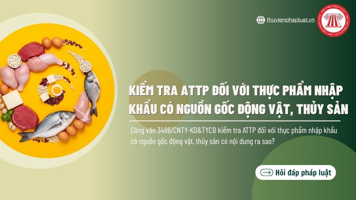 Hỏi đáp Pháp luật