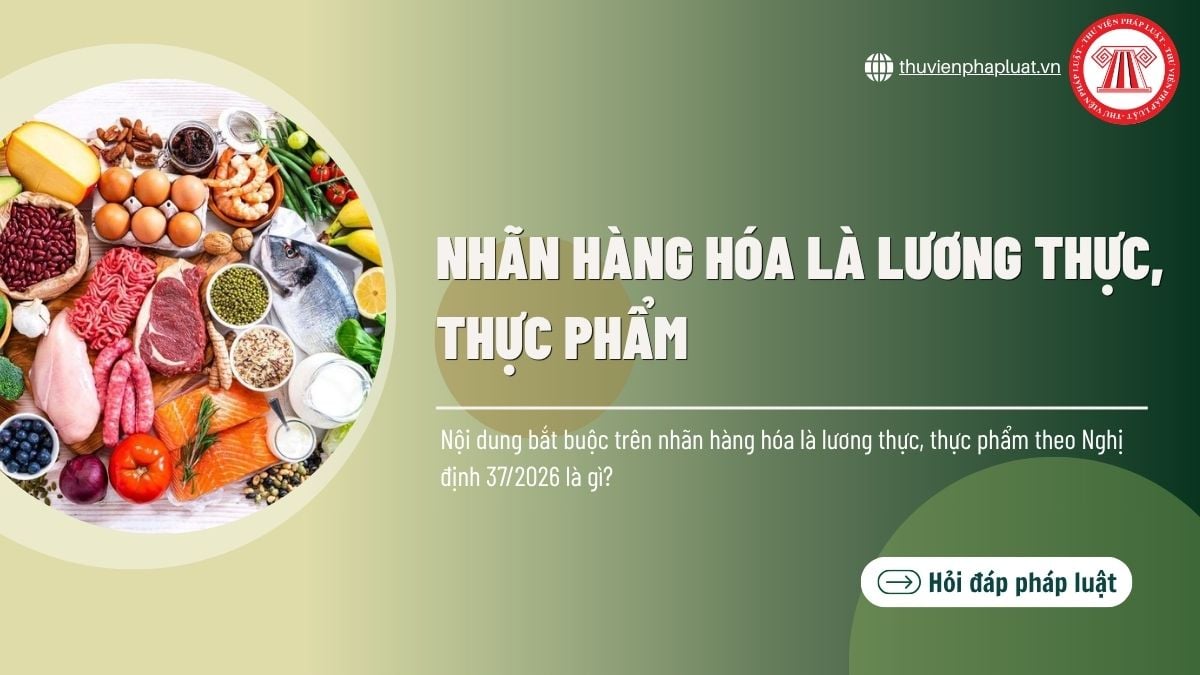 Hỏi đáp Pháp luật