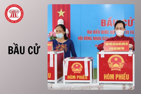 Hỏi đáp Pháp luật