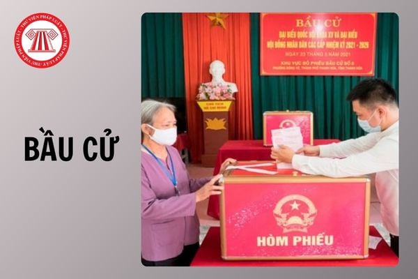 Hỏi đáp Pháp luật