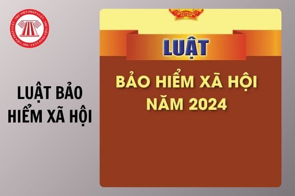Hỏi đáp Pháp luật