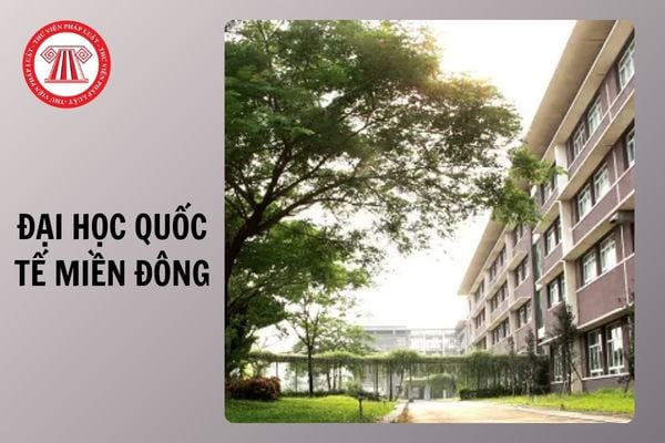 Thông tin tuyển sinh 2026 Trường Đại học Quốc tế Miền Đông chi tiết ra sao?