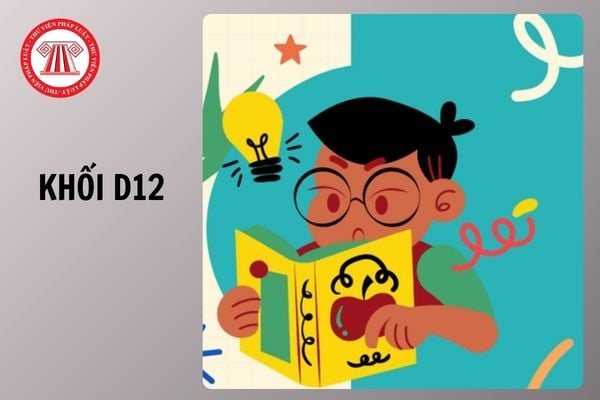Tổng hợp các trường xét khối D12 năm 2026 gồm những trường nào?