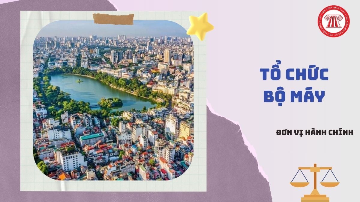 Cuộc cách mạng về tổ chức bộ máy đã giảm được bao nhiêu % đầu mối trực thuộc Trung ương và bao nhiêu % đơn vị hành chính cấp tỉnh?
