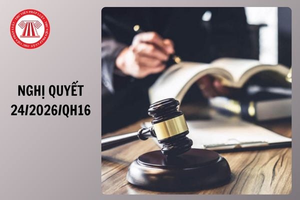 Toàn văn Nghị quyết 24/2026/QH16 thí điểm chế định luật sư công ra sao?