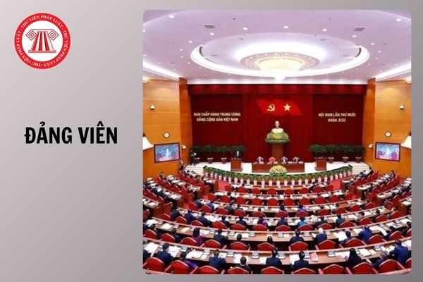 Những ai được tặng Huy hiệu Đảng theo Quy định 20?