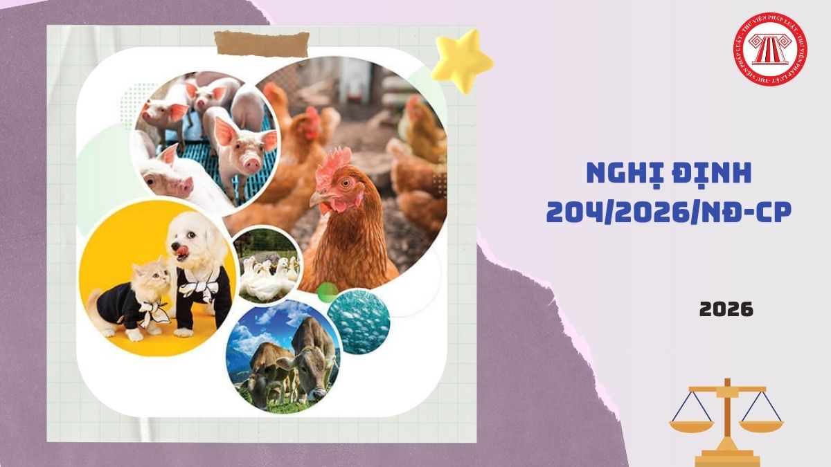 Toàn văn Nghị định 204/2026/NĐ-CP xử phạt vi phạm hành chính trong lĩnh vực thú y ra sao?