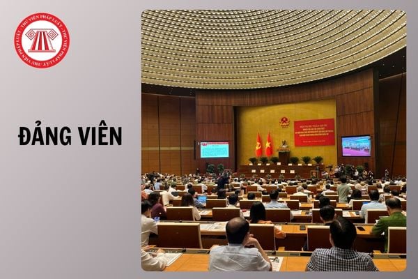 Hỏi đáp Pháp luật