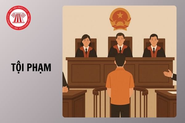 Hỏi đáp Pháp luật