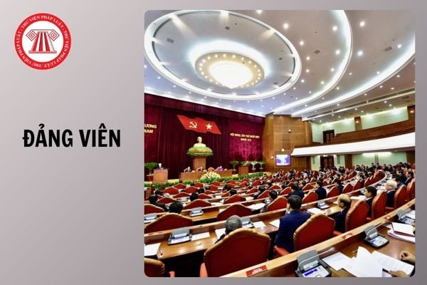 Hỏi đáp Pháp luật
