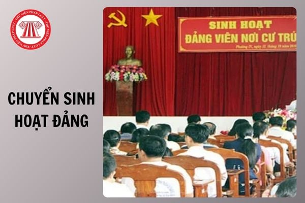 Hỏi đáp Pháp luật