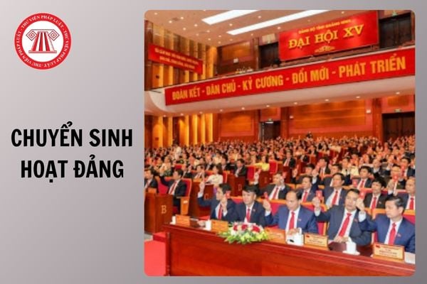 Hỏi đáp Pháp luật