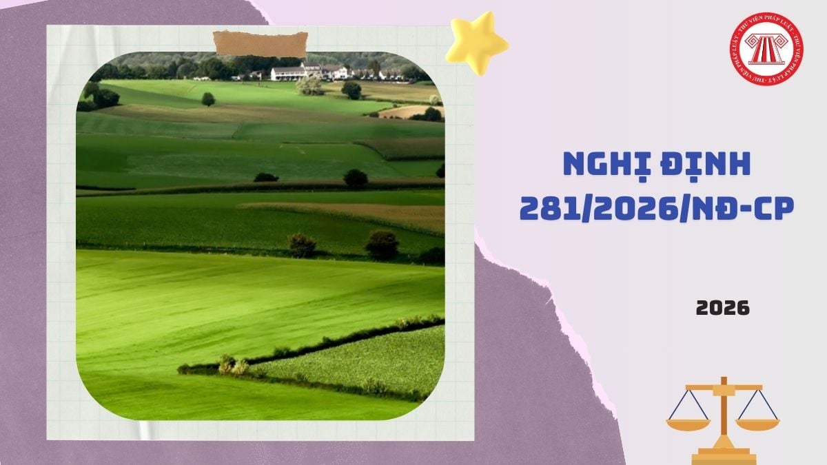 Toàn văn Nghị định 281/2026/NĐ-CP sửa đổi Nghị định 123 xử phạt vi phạm hành chính trong lĩnh vực đất đai ra sao?