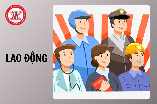 Hỏi đáp Pháp luật
