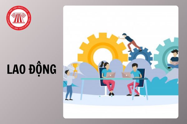 Hỏi đáp Pháp luật