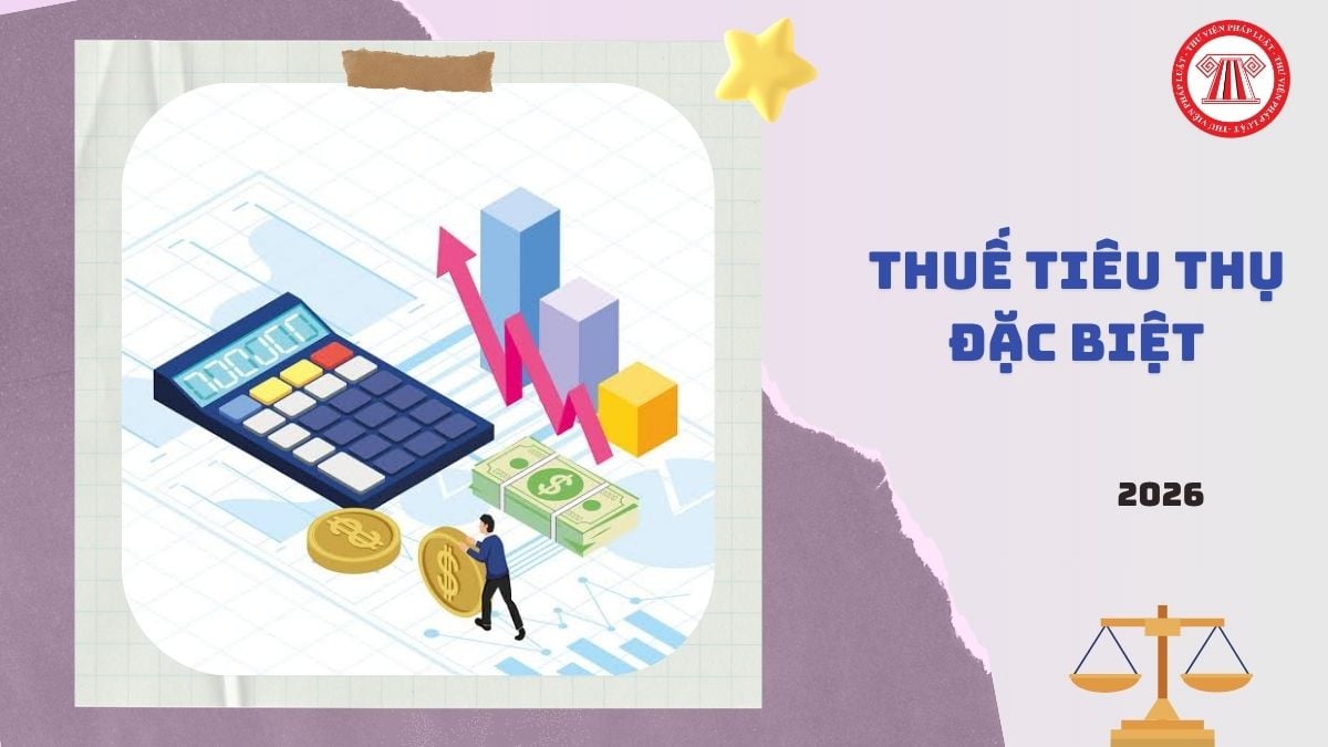 Mẫu 01/TTĐB Tờ khai thuế tiêu thụ đặc biệt Thông tư 89/2026/TT-BTC chi tiết như thế nào?