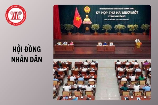 Hỏi đáp Pháp luật