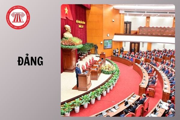 Hỏi đáp Pháp luật