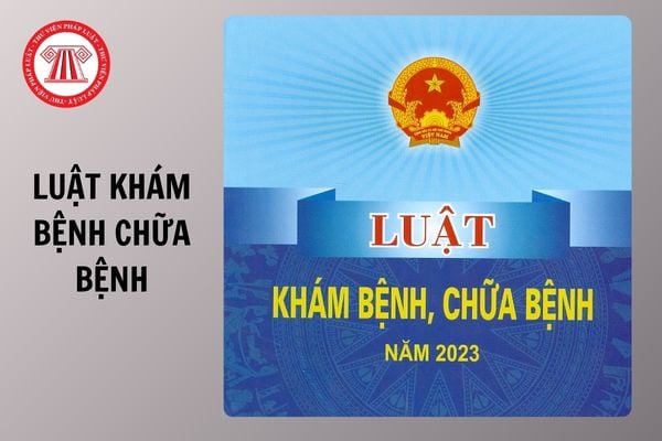 Văn bản hợp nhất Luật Khám bệnh chữa bệnh số 26/VBHN-VPQH chi tiết như thế nào?
