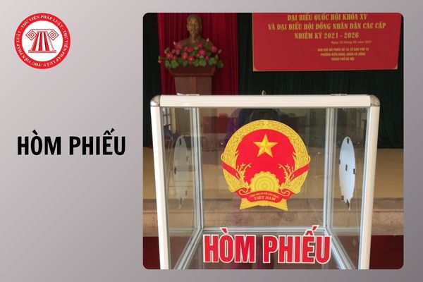 Hỏi đáp Pháp luật