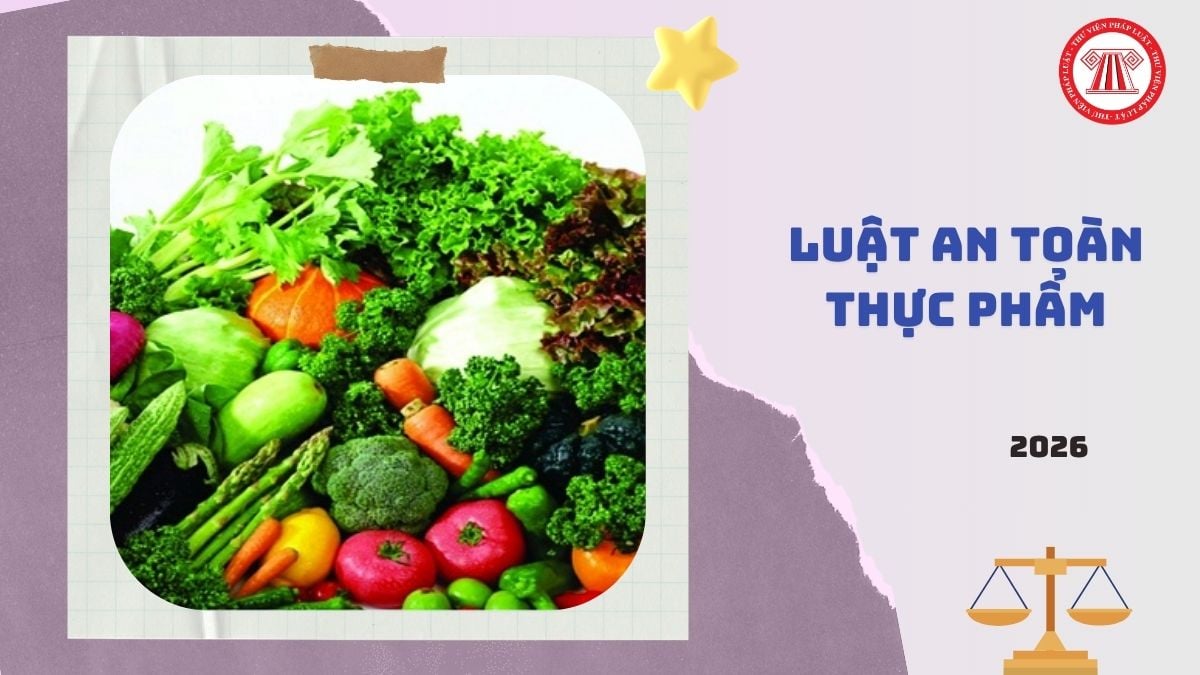 Hỏi đáp Pháp luật