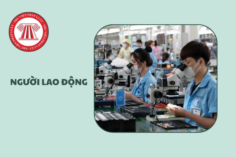 Hỏi đáp Pháp luật