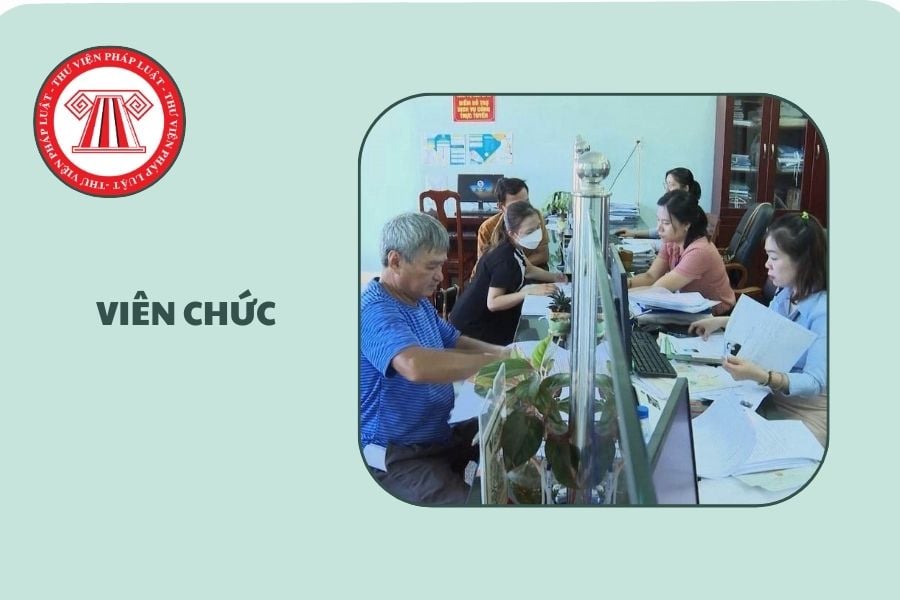Hỏi đáp Pháp luật