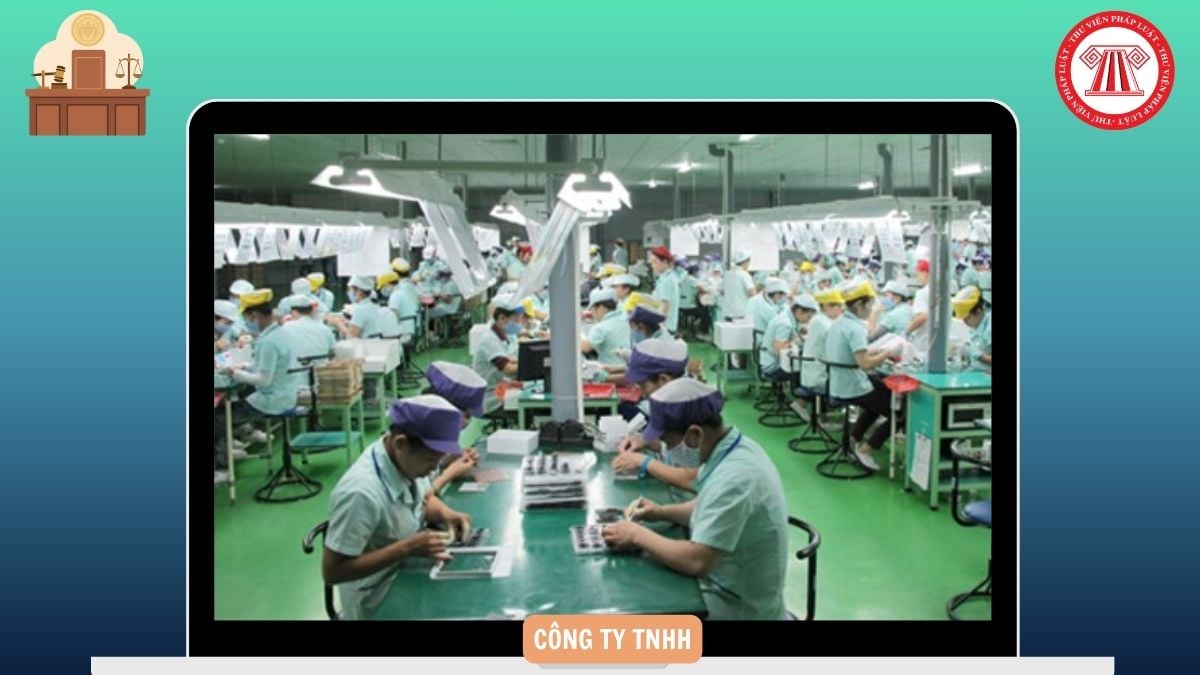Hỏi đáp Pháp luật