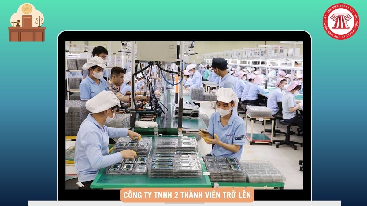Hỏi đáp Pháp luật