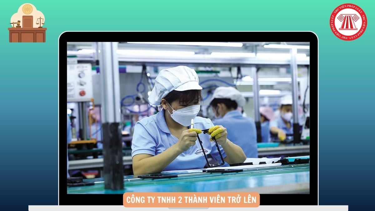 Hỏi đáp Pháp luật