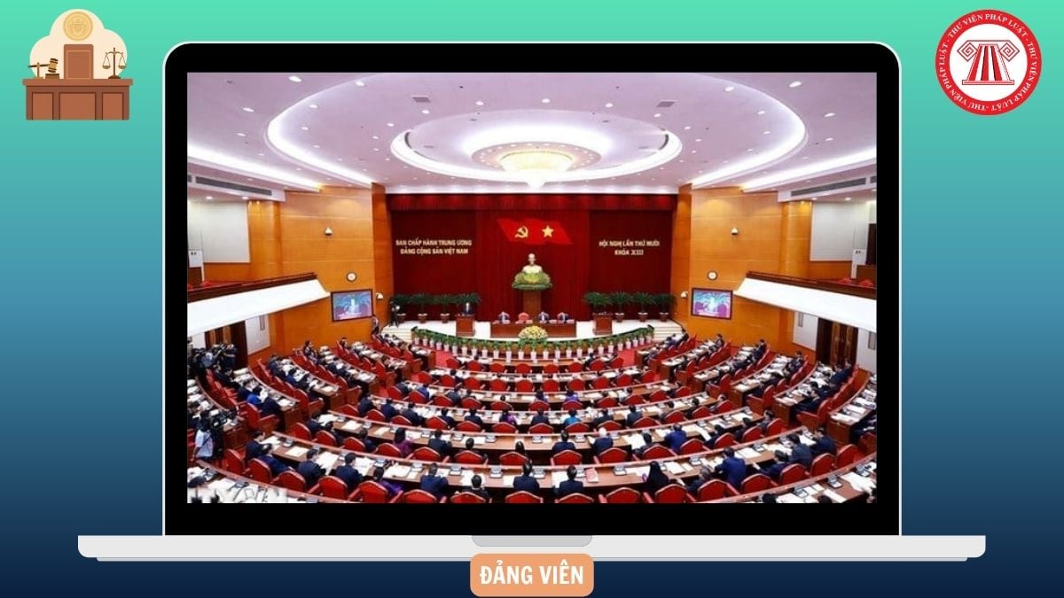 Hỏi đáp Pháp luật