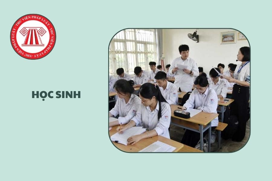 Hỏi đáp Pháp luật
