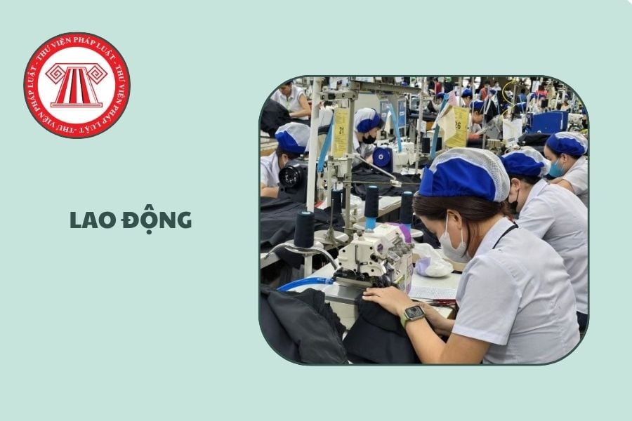 Hỏi đáp Pháp luật