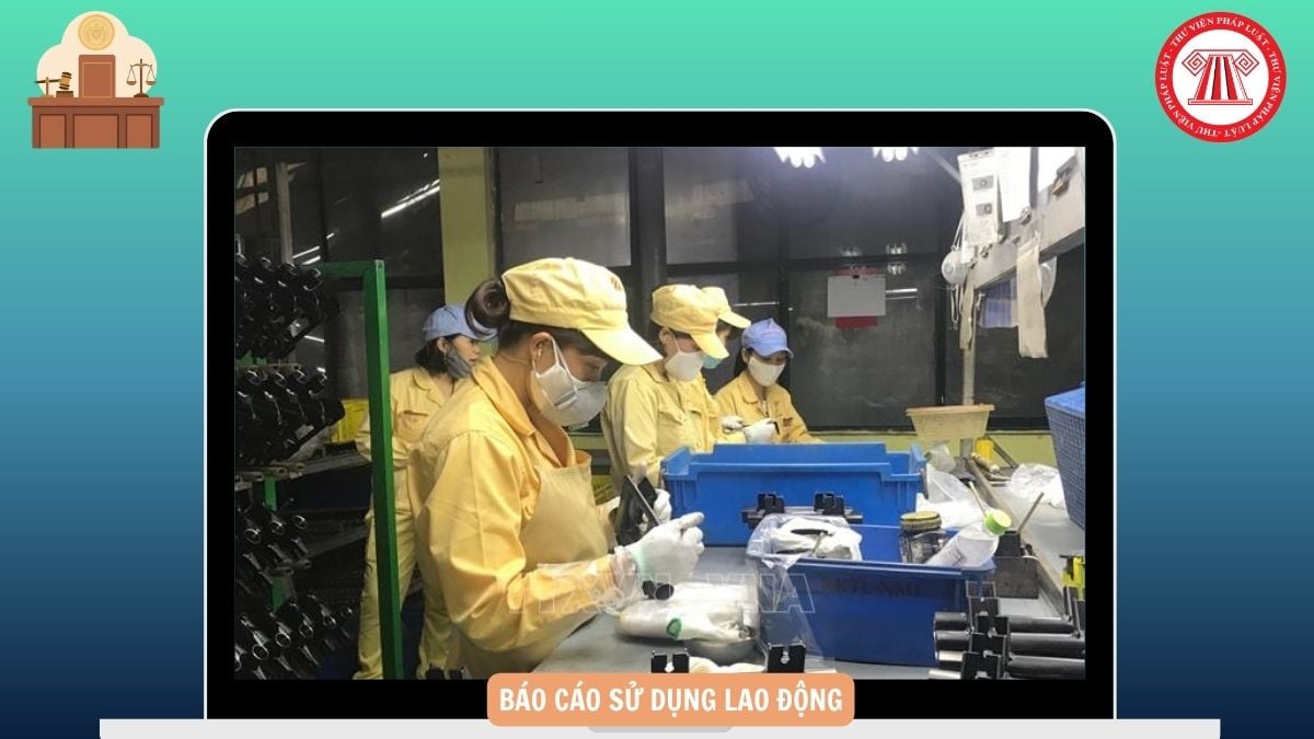 Hỏi đáp Pháp luật