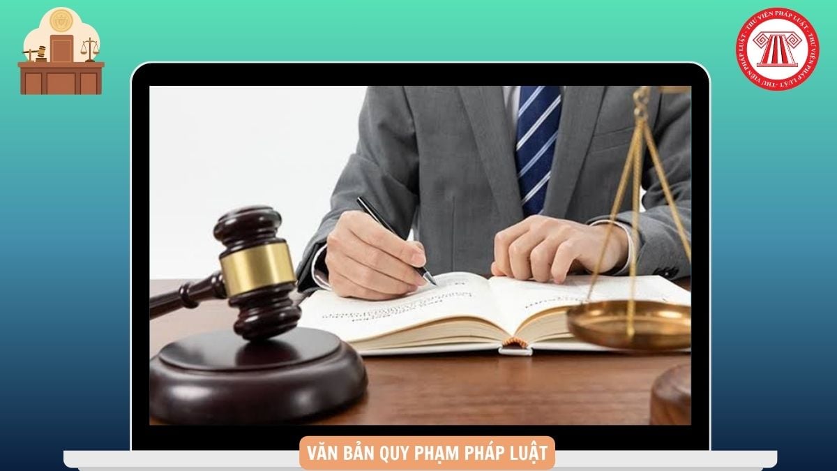 Hỏi đáp Pháp luật