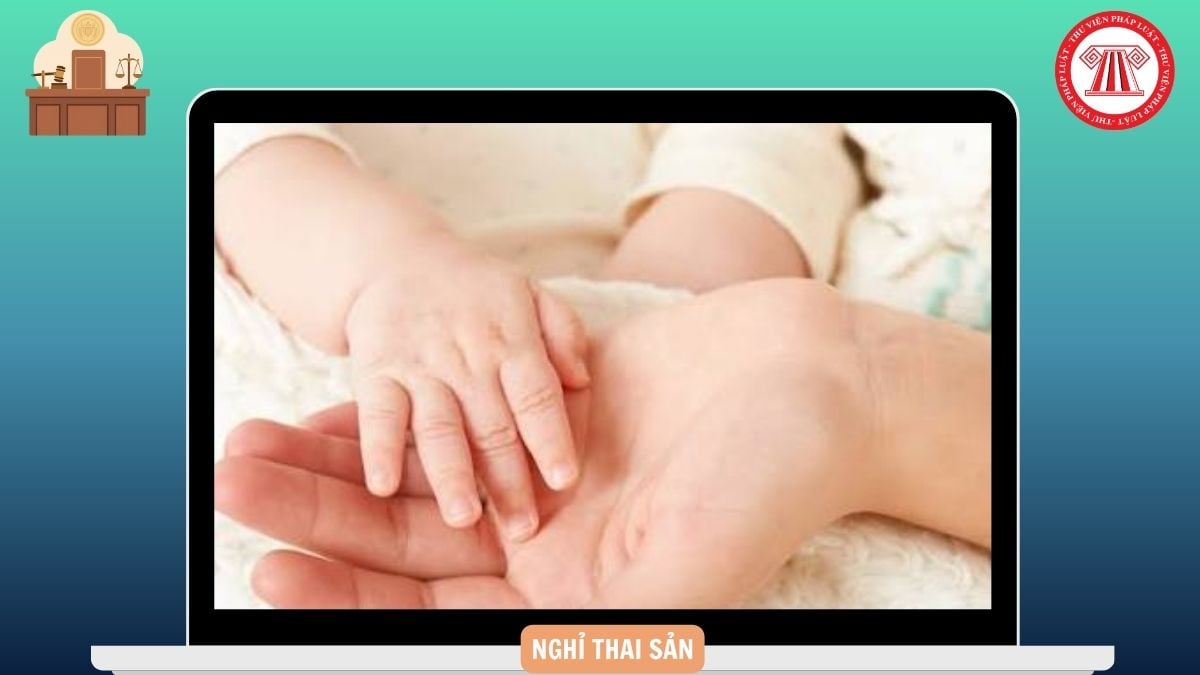 Hỏi đáp Pháp luật