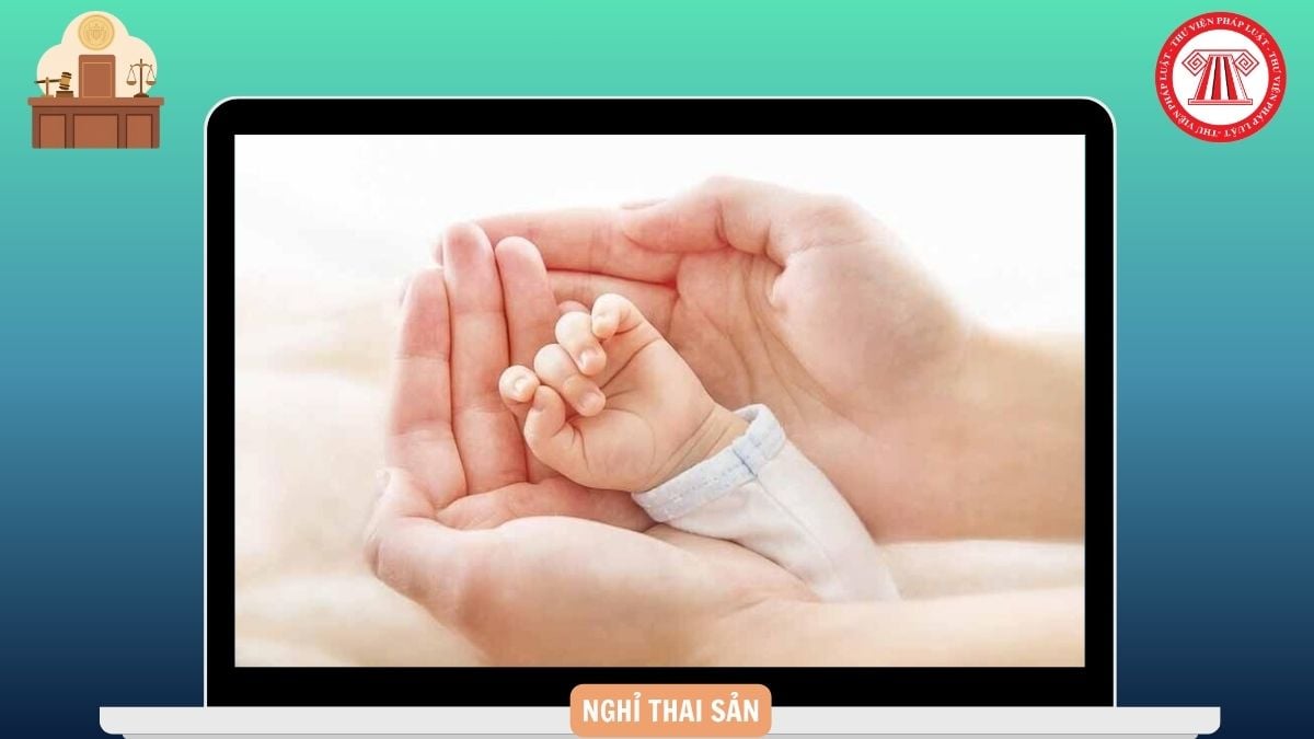 Hỏi đáp Pháp luật