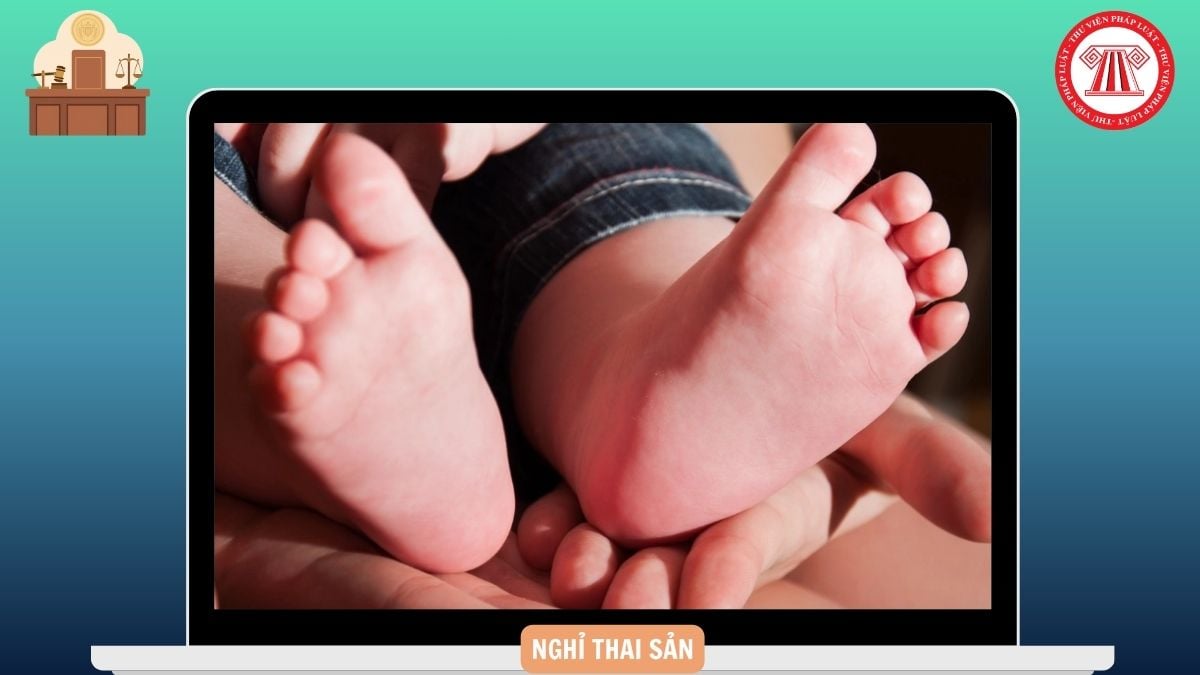 Hỏi đáp Pháp luật
