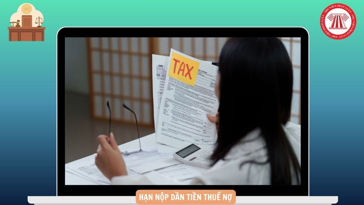 Hỏi đáp Pháp luật
