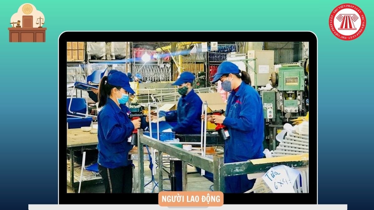 Hỏi đáp Pháp luật