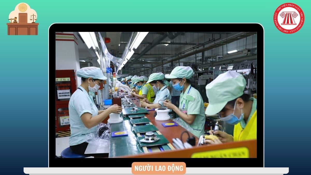 Hỏi đáp Pháp luật