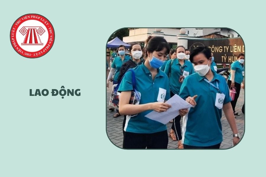 Hỏi đáp Pháp luật