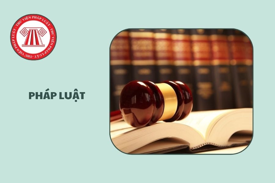 Hỏi đáp Pháp luật