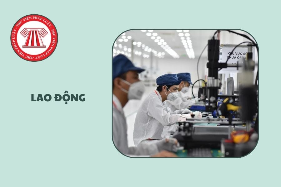 Hỏi đáp Pháp luật