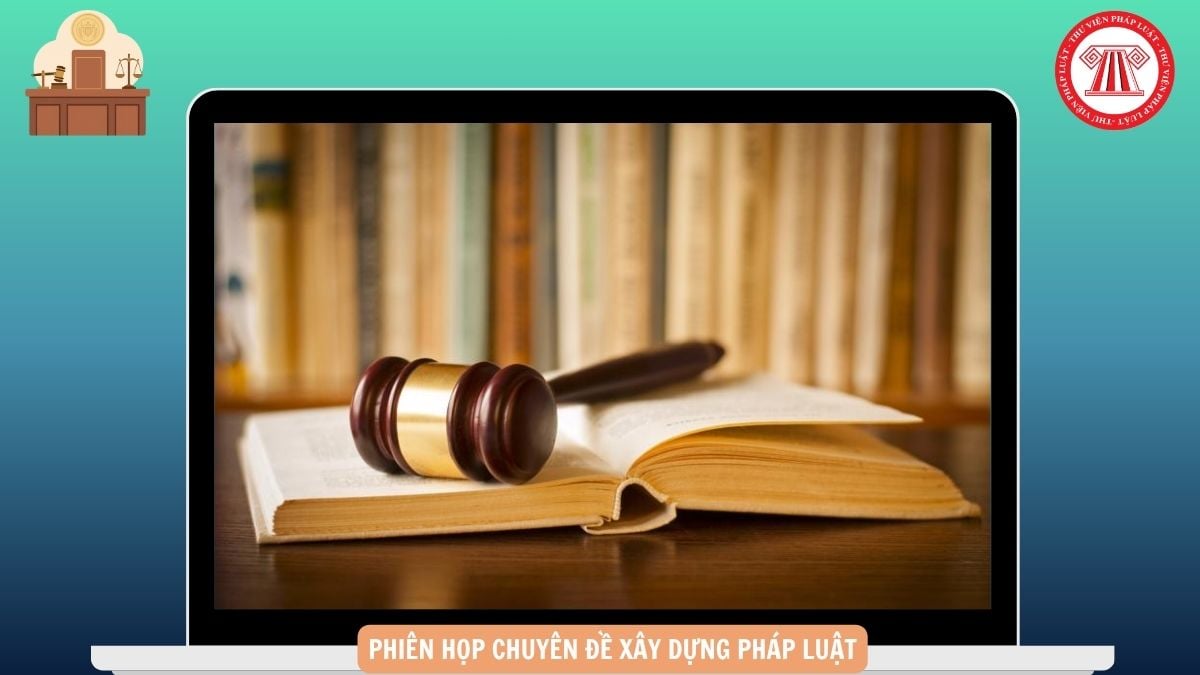 Hỏi đáp Pháp luật