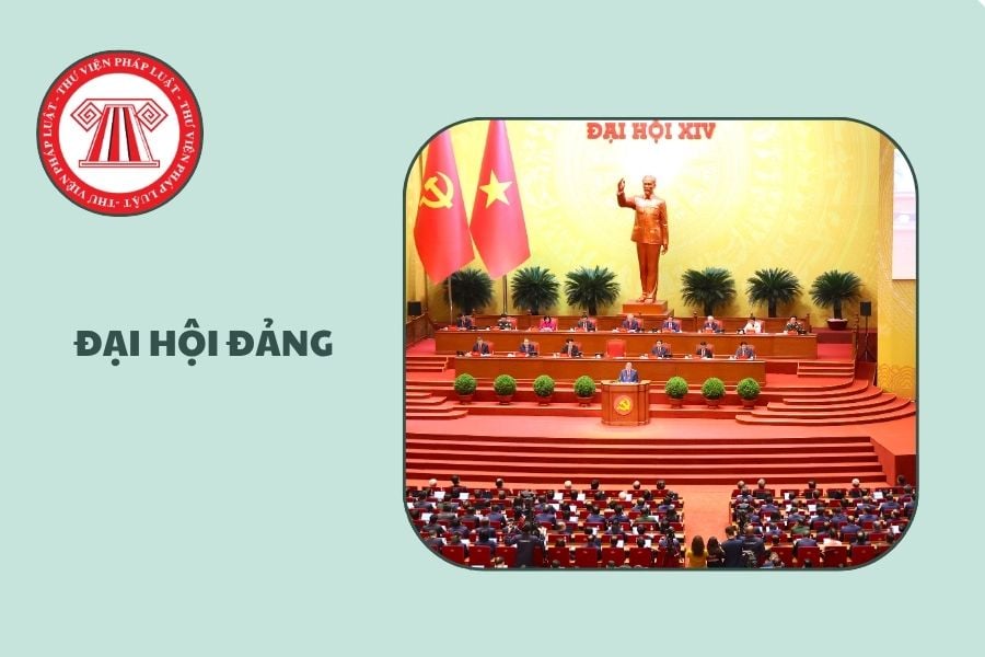 Hỏi đáp Pháp luật
