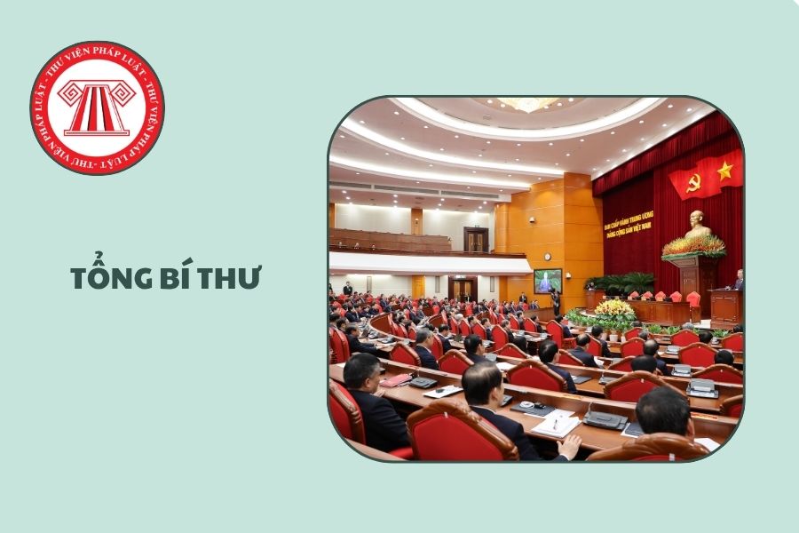 Hỏi đáp Pháp luật