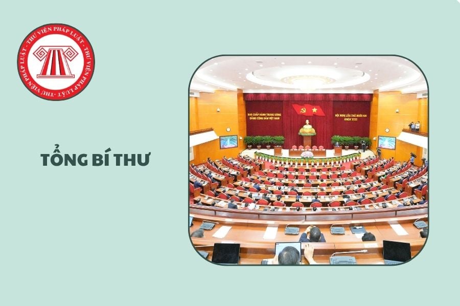 Hỏi đáp Pháp luật