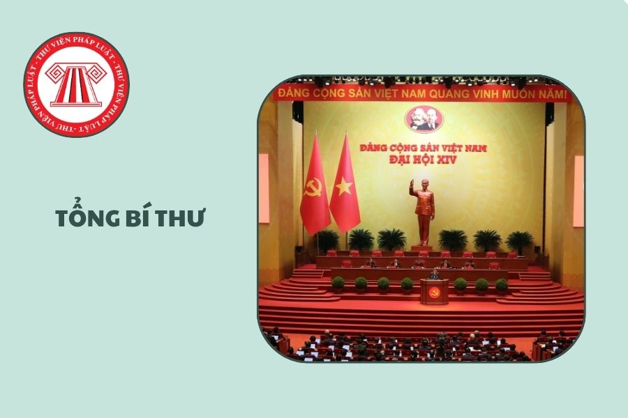 Hỏi đáp Pháp luật